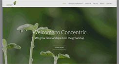 Desktop Screenshot of concentricpublicaffairs.com